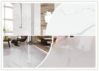 Frost-beständige Marmorblick-Porzellan-Fliese für Schlafzimmer/Küche