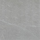 Niedrigwasser-Absorptions-Porzellan-Fliese/600*600 Innenfliese Matt Ceramic For Kitchen