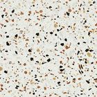 Weißere Farbe Badezimmer-Boden-Matt Anti Slip Porcelain Tiless 600X600mm