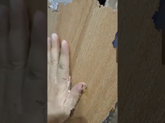 Einführung der 200x1200mm Holzoptik-Keramikfliesen