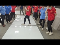 Video zur Werksinspektion