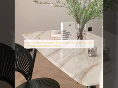 Hoch chemikalienbeständige, weiße Innenporzellanfliesen mit geringer Wasseraufnahme in Weiß