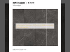 Stilvolle Innen-Porzellanfliesen in Weiß für langlebige Bodenbelagslösungen