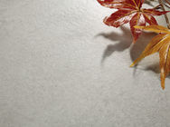 Größen-Fliesen-Griff Lappato-Fliese 600x600 Millimeter läuten Farbfliesen-Wärmedämmung