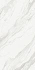 2020 Boden-Porzellan-Fliese der neuer Entwurfs-weiße der Farbe1200x2400mm Stärke-5.5mm durch keramischen Wand-Keramikfliesen-Preis