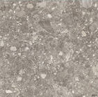 Wasseraufnahme-Marmor-Porzellan-Fliese des Grau-0,5% für Innenwand