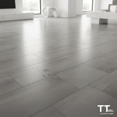 Einfach zu reinigen Porzellan-Zement-Look-Fliese, die einfache Wartung mit modernem Design kombiniert, unterstützt von Zahlungsteam T T etc.