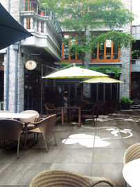 Heller Kratzer Grey Color Stone Look Porcelain-Fliesen-300x600 Millimeter beständig