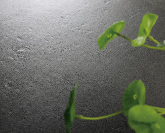 Größen-Badezimmer-Keramikziegel des Baumaterial-modernes Porzellan-Fliesen-einfaches schwarzes Bodenfliese-Niveau-600x300 Millimeter