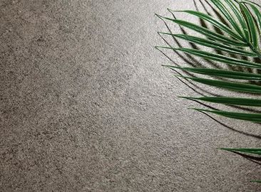Des neuen Entwurfs-rustikale 3D Digital Größe Textre-Fliese Bodenfliese-Sand-Farbdes keramikziegel-300x600 Millimeter