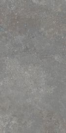 Industrielle Grey Office Restaurant Kitchen Outdoor-Zement-Porzellan-Bodenfliesen 60*120cm