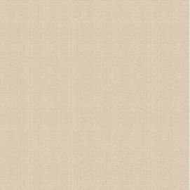Matt Surface Non Slip Cement-Blick-Porzellan-Fliese, rustikales Matt Porcelain Tiles 600*600mm
