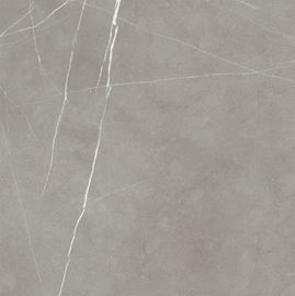 Kundenspezifische Blick-Porzellan-Fliese des Zement-60*60/dauerhafter und Gleitschutzboden keramisches Matt Tile