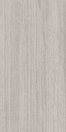 externe Porzellan-Bodenfliese-moderne Porzellan-Fliese 1200x2400 Matt Glazed Large Format Grey