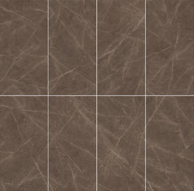 Beständiges Badezimmer-Keramikziegel des Baumaterial-Frost