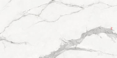 Art Design Marble Look 	moderne Fliese des Porzellan-900x1800