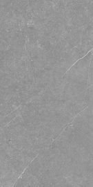 Großes Innenporzellan neigend, formatieren Fliesen Zement-Grey Concrete Look Matte Finish-Porzellan-Fliese in 600 X1200mm