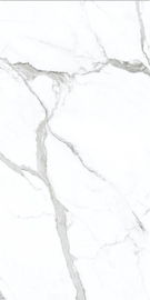 Name