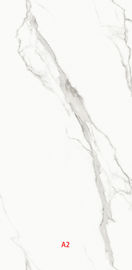 Name