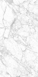 Name